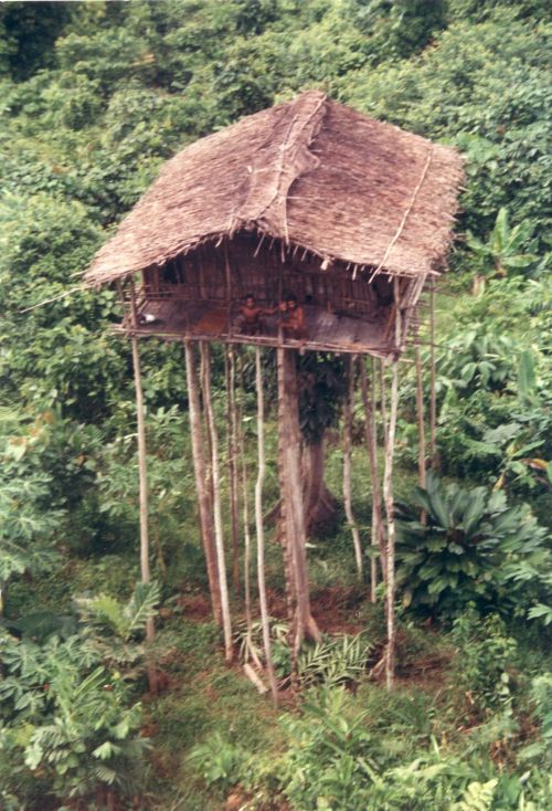 Bilambanen treehouse